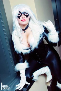 Black Cat (Spider-Man)