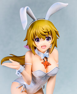 IS <Infinite Stratos> charlotte dunois 1/7