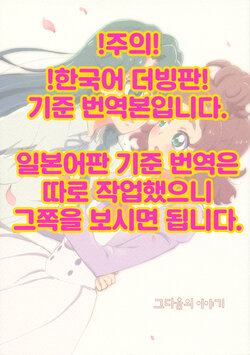 (Rainbow Flavor 14) [Yukirinrin! (Oyu)] Sorekara no Hanashi | 그다음의 이야기 (Go! Princess Precure) [Korean]