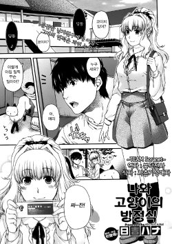 [Hiyoshi Hana] Neko to Watashi no Houteishiki | 나와 고양이의 방정식 (COMIC Megastore 2012-02) [Korean] [TEAM Soranet]