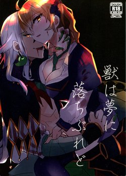 (Dai 11-ji ROOT4to5) [PHOTONIX (Terashi)] Kemono wa Yume ni Ochiburedo (Fate/Grand Order)