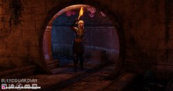 [BlendGuardian] [3D] Contract in the Sewers