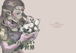 [SHRUB (Motegi Rikka)] Watashi no Inai Sekai (The Legend of Zelda: The Ocarina of Time) [Digital]