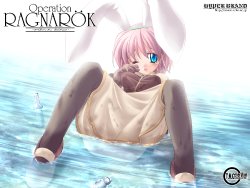 Hyper Brand Ragnarok Online CGs, Doujinshi