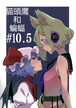 (Shuuki Reitaisai 9) [Yumushien (Kawayabug)] Mimizuku to Koumori #10.5 | 貓頭鷹和蝙蝠#10.5 (Touhou Project) [Chinese] [十的我全是獭汉化组]