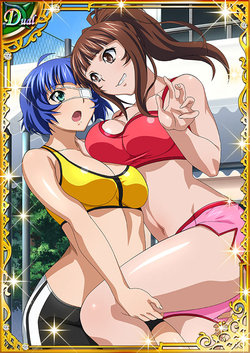 Ikkitousen Cards Coleccyion  Yanagi Mika set