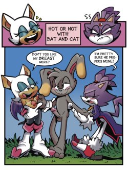 [KingRaam] Hot or Not (Sonic The Hedgehog)