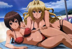 Sexy sekirei