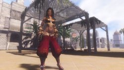 Skyrim Zaynab the Hammerfell warrior