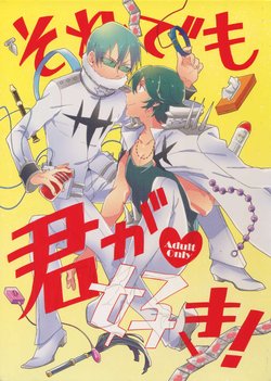 (Ifuudoudou Sarani Aratame) [Sukidarake, chippus! (Fukuzawa Yukine, Chippu)] Soredemo Kimigasuki! (Kill la Kill)