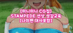 [미니미니CG집] STAMPEDE 선상 성감교육 [나미편 대사포함]