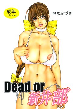 (C65) [H&K (Kotobuki Kazuki)] Dead or Alive (Dead or Alive)