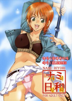 (C70) [Kurione-sha (YU-RI)] Nami-Biyori (One Piece) [Korean] [침대매니아]