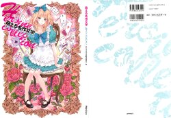 Moeru Meisaku Bungaku Heroine Collection