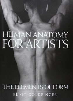 Human Anatomy for Artists - Eliot Goldfinger - Complete