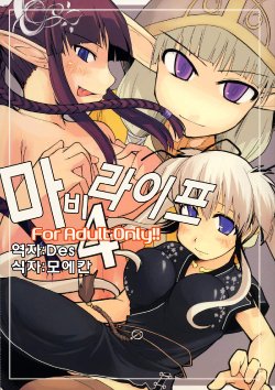 (C71) [Forbidden-Lips (Ryo)] Mabi Life 4 | 마비라이프 4 (Mabinogi) [Korean] [Des]