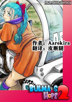 [Aarokira] Bulma's Hope EP2【皮断腿个人汉化】