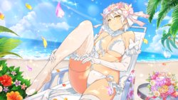 Master Ninja Senran Kagura NEW LINK -  Wedding Swimsuits