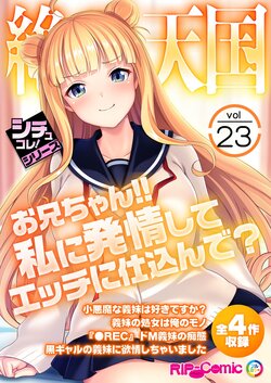 [BENETTY] Zecchou Tengoku Vol. 23 ~Onii-chan!! Watashi ni Hatsujou shite Ecchi ni Shikonde?~ "SituColle! Series"