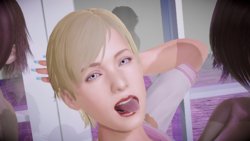 Sherry Birkin: Perfect Knowledge