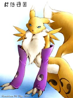 my favorite renamon pictures