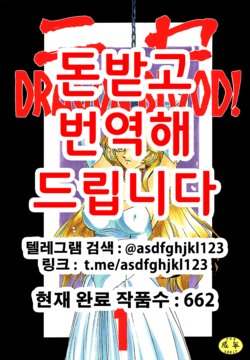 (C50) [LTM. (Taira Hajime)] Nise DRAGON BLOOD! 1 [Korean]