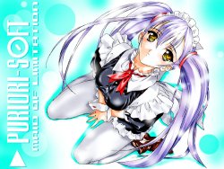 [Puriori-Soft (Orimiya Mai)] Maid of Limitation (Martian Successor Nadesico) [Decensored]