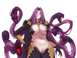 [Todding] Queen of Demonic beasts Gorgon/Medusa(FGO)