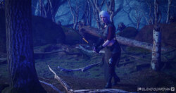 [BlendGuardian] [3D] Ciri is Out Hunting