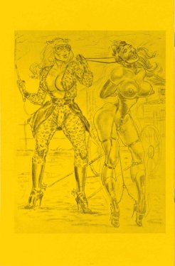 Stanton-Blunder Woman 04