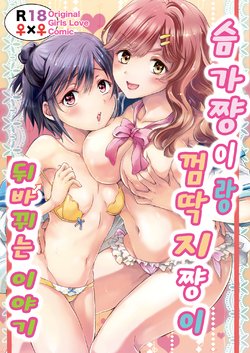 [peachpulsar (Mira)] Oppai-chiyan to Chippai-changa Irekawaru Hanashi | 슴가쨩이랑 껌딱지쨩이 뒤바뀌는 이야기 [Korean] [팀 노고치] [Digital]