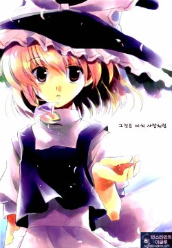 (C72) [Asian Aniki Generation (Nishiumeda Abiko)] Sore wa Marude Koi no You de (Touhou Project) (korean)