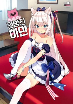 (C93) [Number2 (Takuji)] Kaikin! Namaiki Haman | 해금! 생삽입잘정 건방진 하만 (Azur Lane) [Korean]