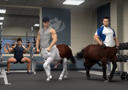 [Priapus of Milet] Centaur Gym