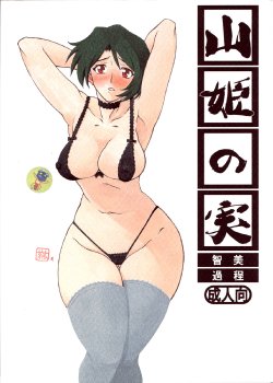 (C73) [Sankaku Apron (Sanbun Kyoden, Umu Rahi)] Akebi no Mi - Satomi Katei [Korean]