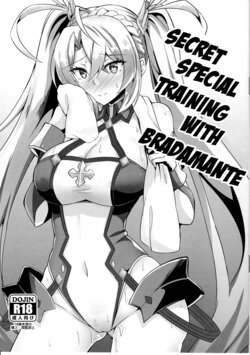 (C95) [Tiusan Kingdom (Kazamitiu)] Bradamante to Himitsu no Tokkun | Secret Special Training with Bradamante (Fate/Grand Order) [English] [ChoriScans]