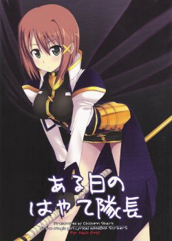 (C72) [Chicken Shark (Kurosyo)] Aru Niitsu no Hayate Taichou (Magical Girl Lyrical Nanoha StrikerS)