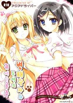 (C84) [Aquadriver (Aino Serin)] Hentai Ouji to Futari no Kawaii Hime-sama (Hentai Ouji to Warawanai Neko.) [Korean] [Team Dog Drip]