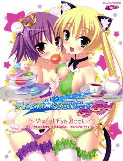 [Lillian]TWINKLE☆CRUSADERS GOGO! VISUAL FAN BOOK [kannagi rei]