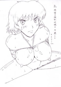 [Kyouki na Shiunten] Chichi Kaizou no Kyousei Ninshin no Nausica-san (Nausicaa of the Valley of the Wind)