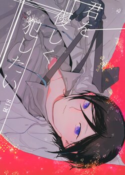 (Chou Senka no Toki 25) [picopicopi-co (tsubasa)] Kimi o Yasashiku Okashitai (Touken Ranbu)