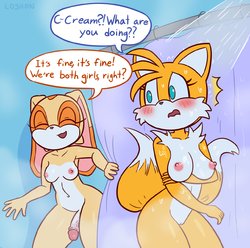 [Loshon] Cream x Tailsko (Sonic the Hedgehog)