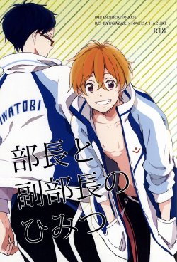 (C87) [skyfish (Hisato)] Buchou to fukubuchou no himitsu (Free!)