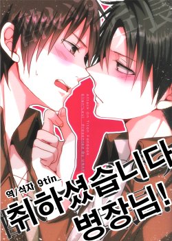 (FALL OF WALL2) [UNAP! (Maine)] Yoisugi Desu Heichou! (Shingeki no Kyojin) [Korean]