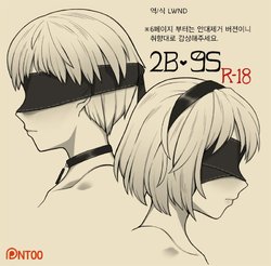 [NT00] 2B 9S (Nier:Automata) [Korean] [LWND]