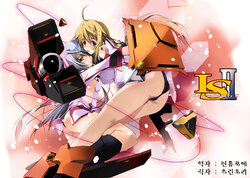 (COMIC1☆5) [RYU-SEKI-DO (Nagare Hyo-go)] LS Lovers-Striker II (IS <Infinite Stratos>) [Korean] [Team Arcana]