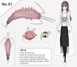 Mushi Research Report No.1 [Korean]