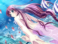 [Fizz] Asanagi no Aquanauts - Yoyaku Tokuten Sukumizu Disk ～ School Swimsuit Disc ～