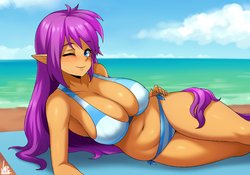 [JMG] Shantae