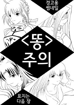 (SC42) [Akai Hitomi to Aoi Tsuki (Uranfu)] Haisetsu Kakeru x 4 (Fate/Stay Night) [Korean]